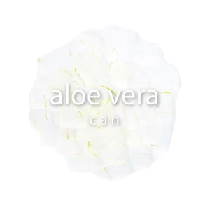 Aloe Vera Can | Bossen